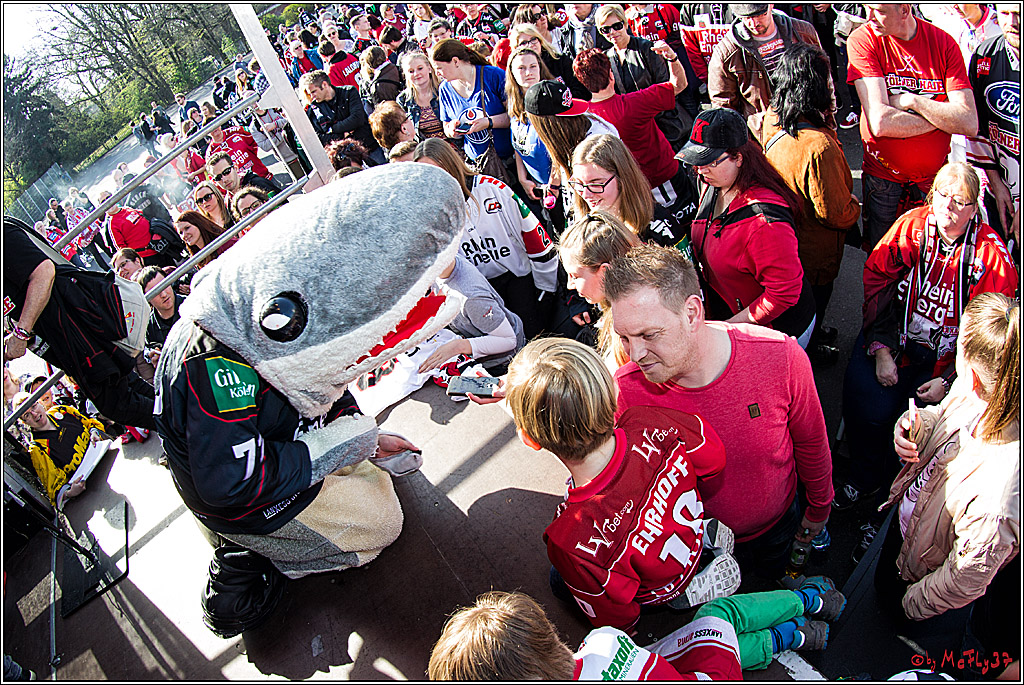 Koelner Haie Abschussparty, 26.03.2017